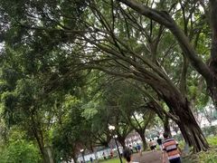 -晓港公园