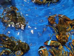 -盒马鲜生(顺义店)