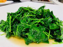 -御花园·粤菜·海鲜火锅(中山公园店)