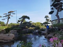 -罗红摄影艺术馆