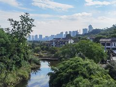 -张坝桂圆林公园