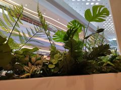 -吕氏疙瘩汤·海鲜新鲁菜(凯德mall新都心店)