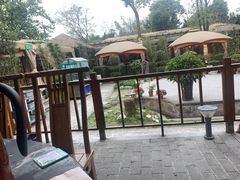 -二荆条·蜀鲜汇城市森林火锅