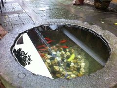 伽蓝殿青年旅舍-伽蓝殿民宿