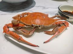 清蒸母飞蟹-正黄旗海鲜烧烤大排档(延安路总店)