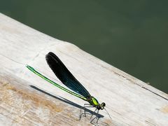 -野三坡刘家河高山漂流