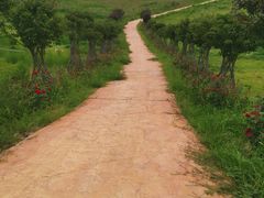 -古柏渡飞黄旅游区