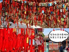 -香山公园