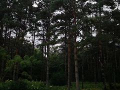 -长春市南湖公园