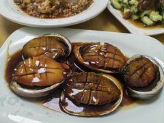 红烧鲍鱼-来之顺海鲜菜馆·青岛菜(栈桥店)