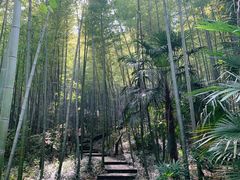 -南山风景名胜区