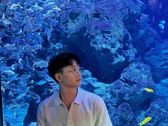 -成都浩海立方海洋公园