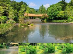 -云溪植物园