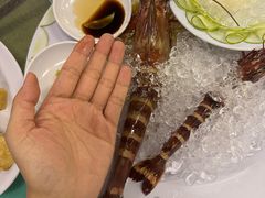-大茄来海鲜餐厅(亚洲城分行)