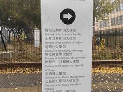 -三里屯东五街银杏大道
