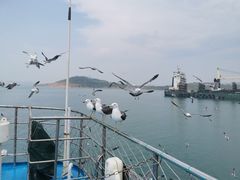-海驴岛(荣成市)