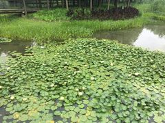 -尚贤河湿地