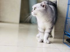 -瑞鹏宠物医院·骨科·猫科·内科(第一中心)