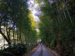 -千岛湖九龙溪漂流