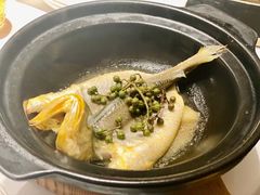 梧桐舟山黄鱼-梧桐Plus·创意京·川料理(万象城店)