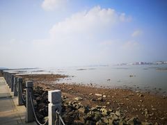 -海鸥岛