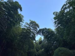 -树山生态村