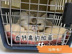 -美联众合动物医院·24h转诊中心