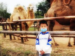 -祥源·阜阳生态乐园