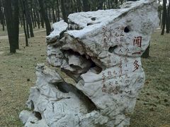 -山东大学(威海校区)