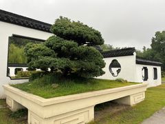 -扬州大运河文化旅游度假区·盆景园