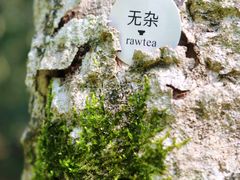-东莞市大岭山森林公园