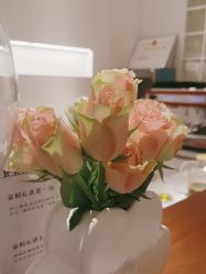 -玛莲朵·海菲秀冰珀科