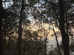 -西湖风景区十里琅珰-五云山