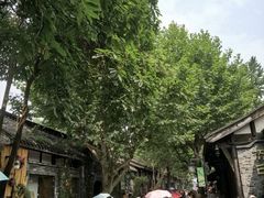 -泡桐树街
