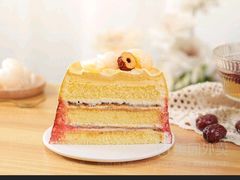 -维尔纳斯·生日蛋糕·动物奶油冰淇淋蛋糕(六里桥店)
