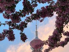 -裕华世纪公园