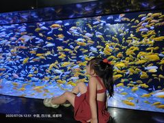 -成都浩海立方海洋公园