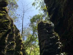 -梭布垭石林景区