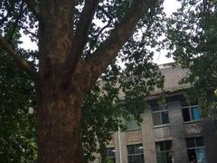 -山东师范大学(千佛山校区)