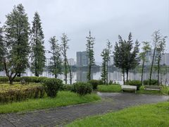 -飞来湖湿地公园