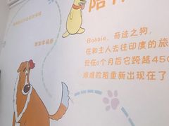 -瑞派申生动物医院·24H夜诊·国际动物医疗中心·骨外科(吴中路店)