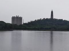 -顺峰山公园