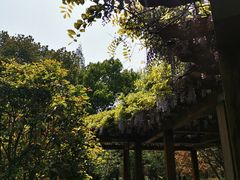 -徐家汇源景区-衡山公园