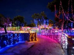 -武汉紫薇都市田园