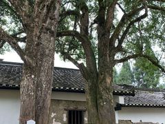 -井冈山风景名胜区