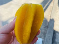 -西双版纳傣族园