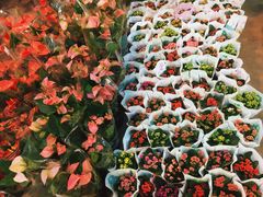 -双季花艺园艺市场(浦东店)