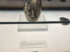 -临沂市博物馆