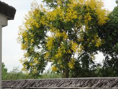 -同里国家湿地公园