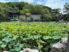 -八大山人梅湖景区